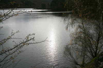 Rursee2008_7